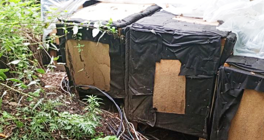 В Иркутске нашли майнинг-ферму в кустах крапивы