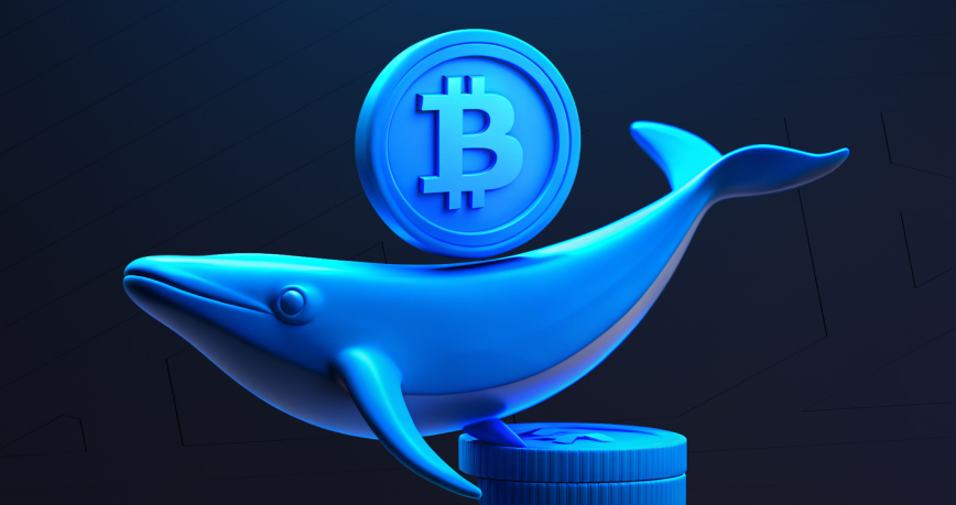 «Киты» Bitcoin (BTC). Что это?