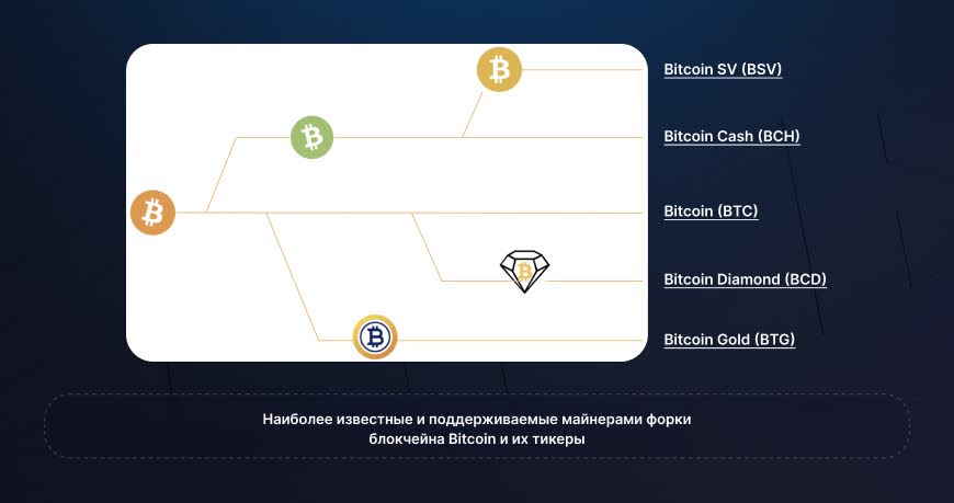 Ветвления блокчейна Bitcoin