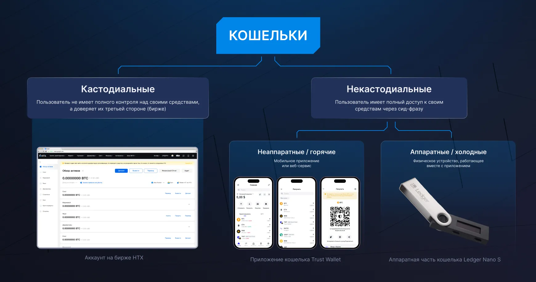 Виды криптокошельков