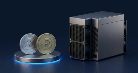 Совместный майнинг Litecoin и Dogecoin: как настроить и получать вознаграждения