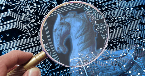 Специалисты 