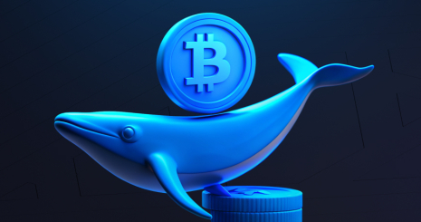 «Киты» Bitcoin (BTC). Что это?