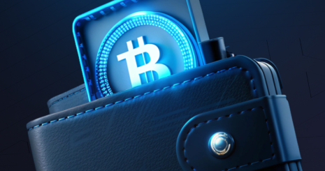 Криптокошельки: основы безопасного хранения цифровых активов