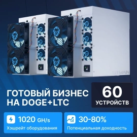 Готовый бизнес на DOGE+LTC 60 устройств